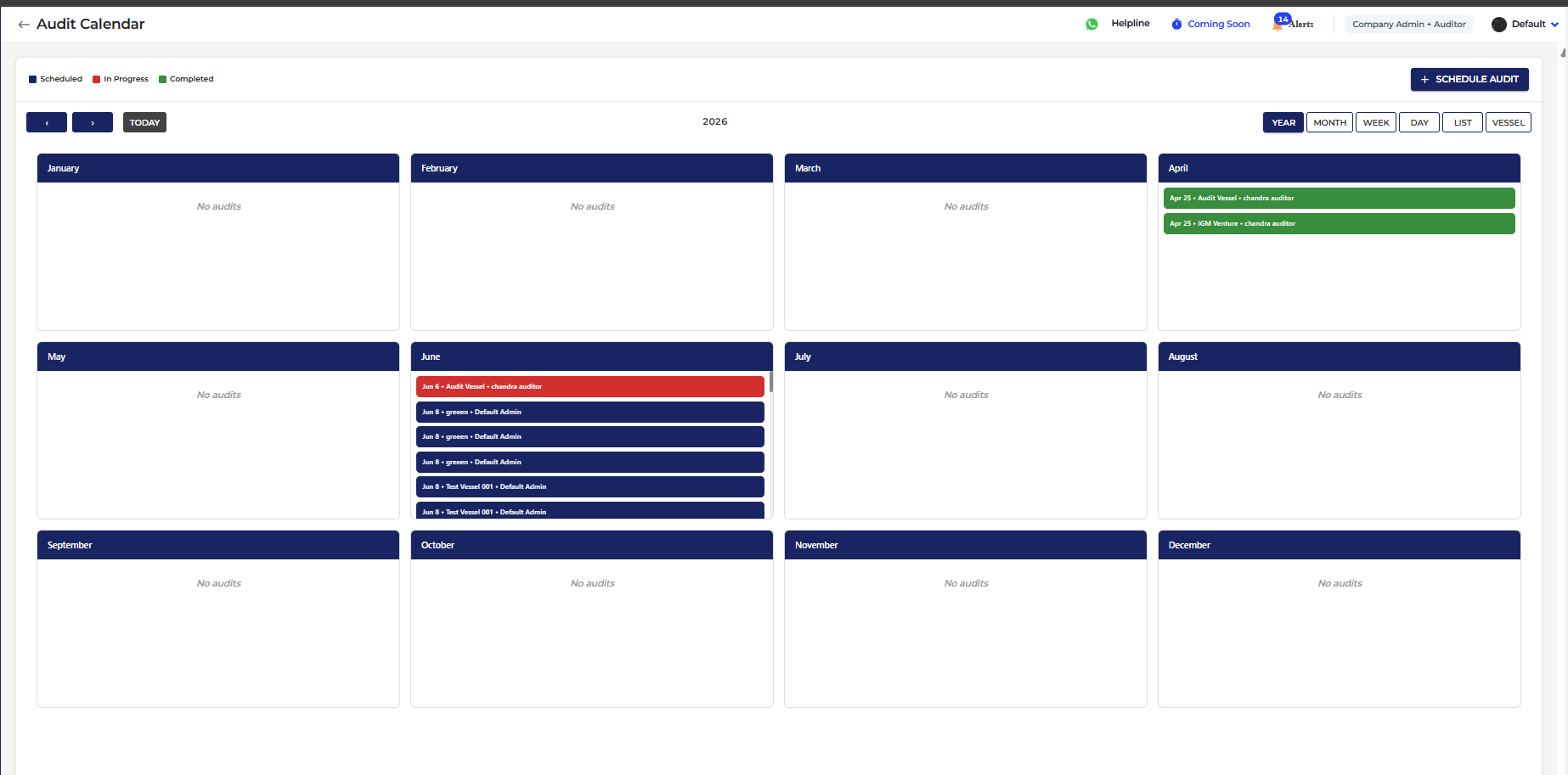 Audit schedule detail view